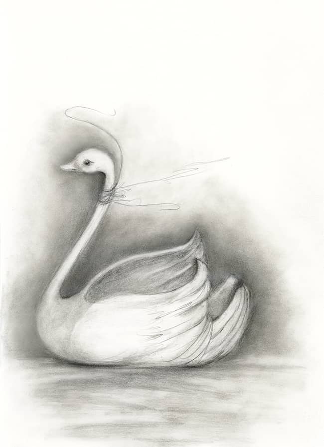Pencil Drawing of Swan in Moleskin