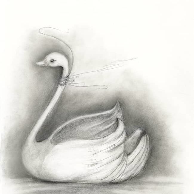 Pencil Drawing of Swan in Moleskin